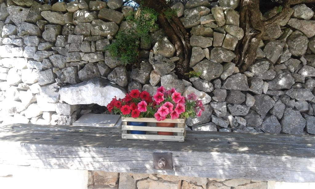 B&B Cinque Stalle Monopoli Kültér fotó